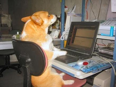PlayingComputer.jpg
