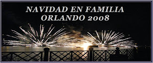 Navidad 2008 en Orlando, Fl.