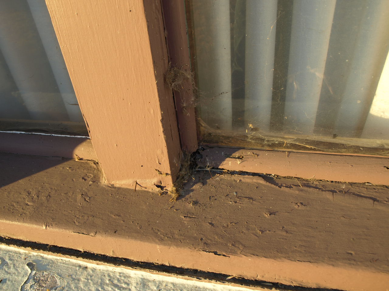 Window Work