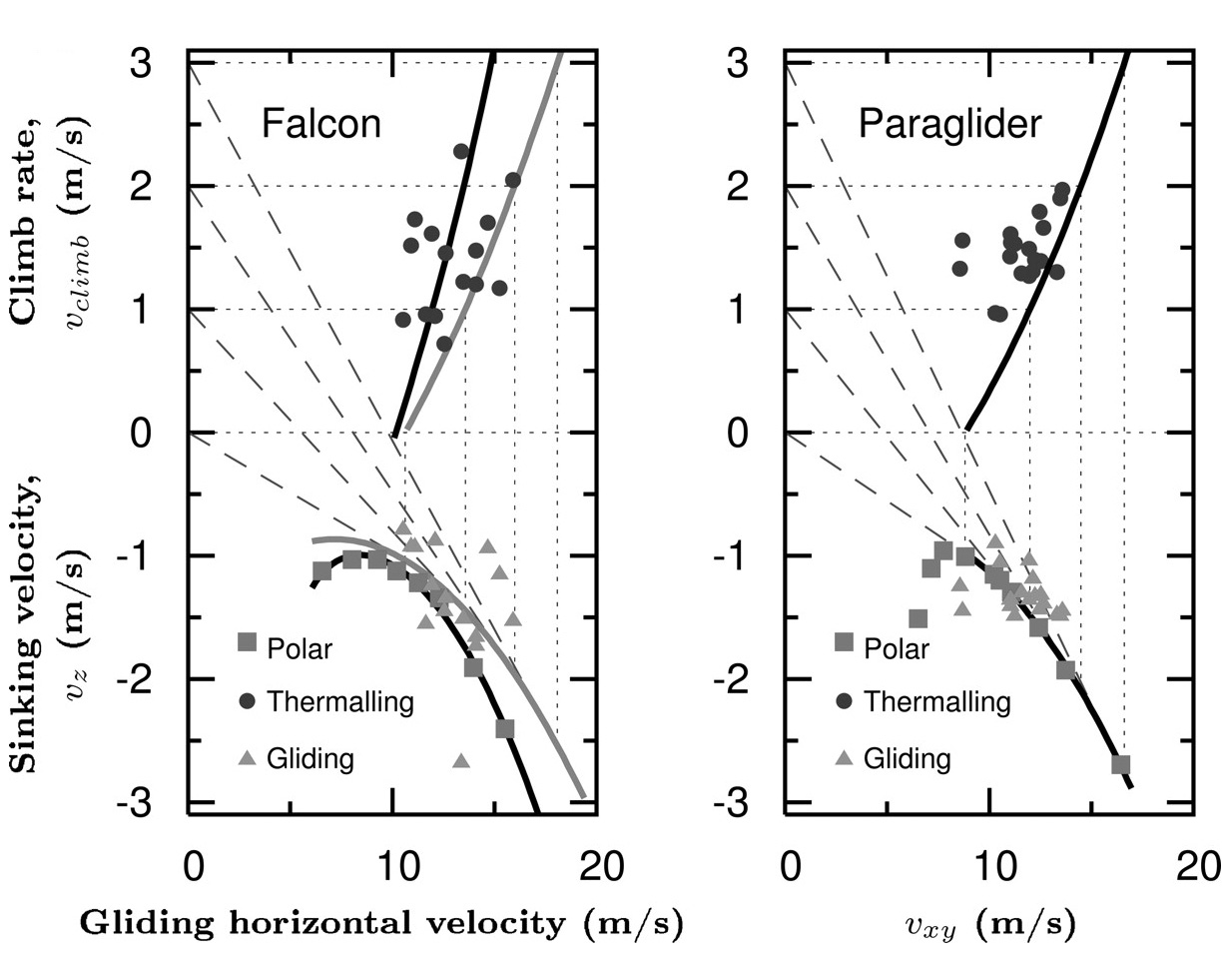 Paragliding aerodynamics Sci Fix