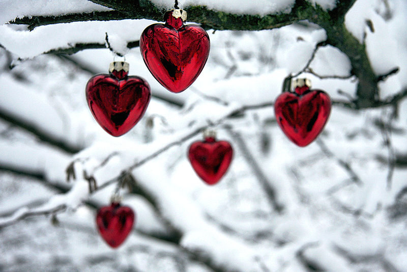 http://1.bp.blogspot.com/_RgG0VD7Bg0g/TQg8GxveIqI/AAAAAAAACwc/Q2Wfaii_j-Y/s1600/Christmas+Hearts.jpg