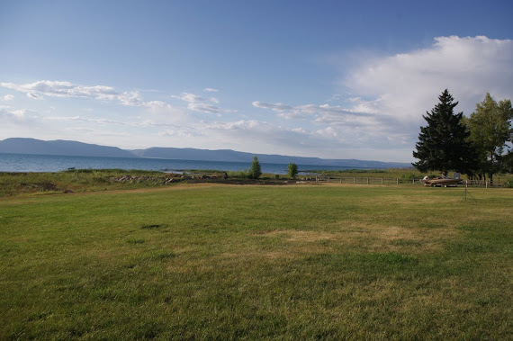 view from the porch