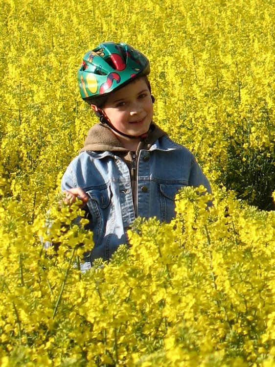 [Brother_in_flowers_by_mbamboo.jpg]