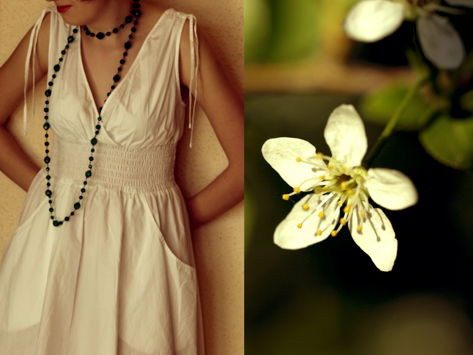 [_4266823+kopia+bn.jpg]