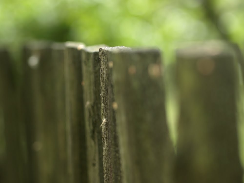 [tn__7178503_01.JPG]