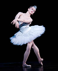 [swanlake.jpg]