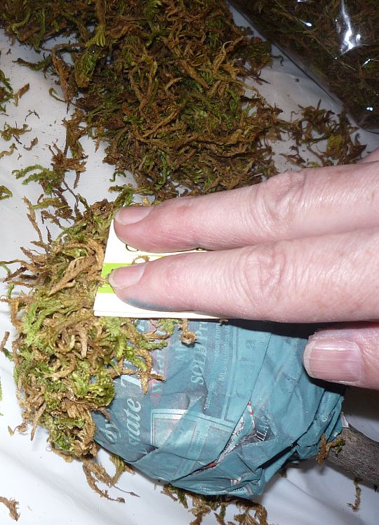 Remodelaholic How to Make Moss Topiaries Tutorial; Guest