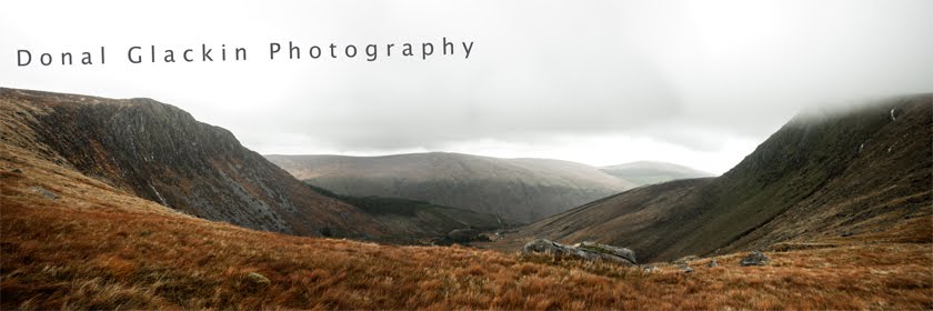 dglackinphoto