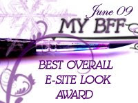 BEST OVERALL E-SITE LOOK AWARD