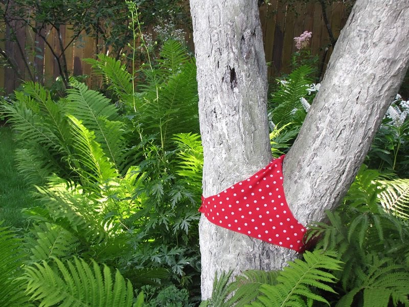 Lady J In Lotus Pose trees wearing underwear