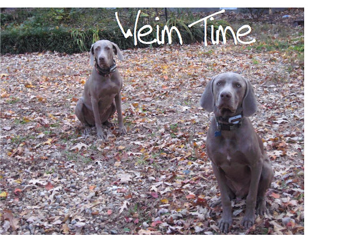 Weim Time