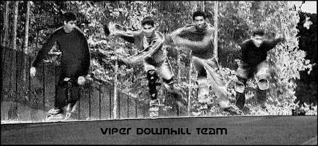 Inline Insane Viper Downhill Team