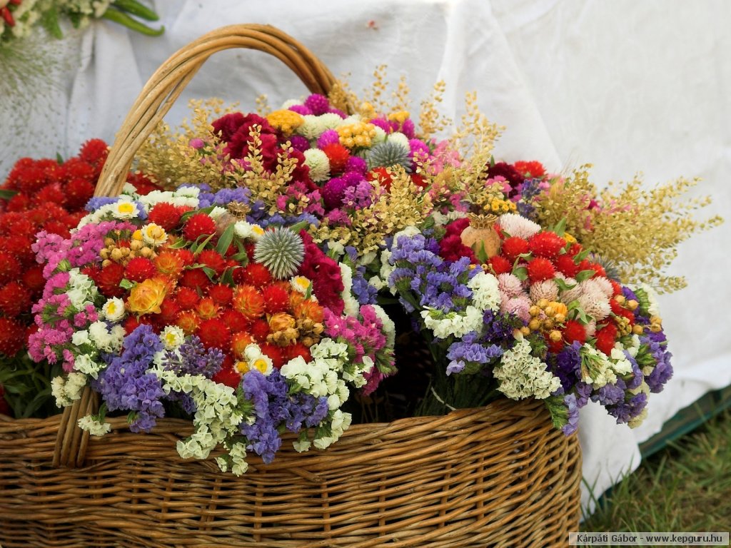 [mail.google.com.htm]