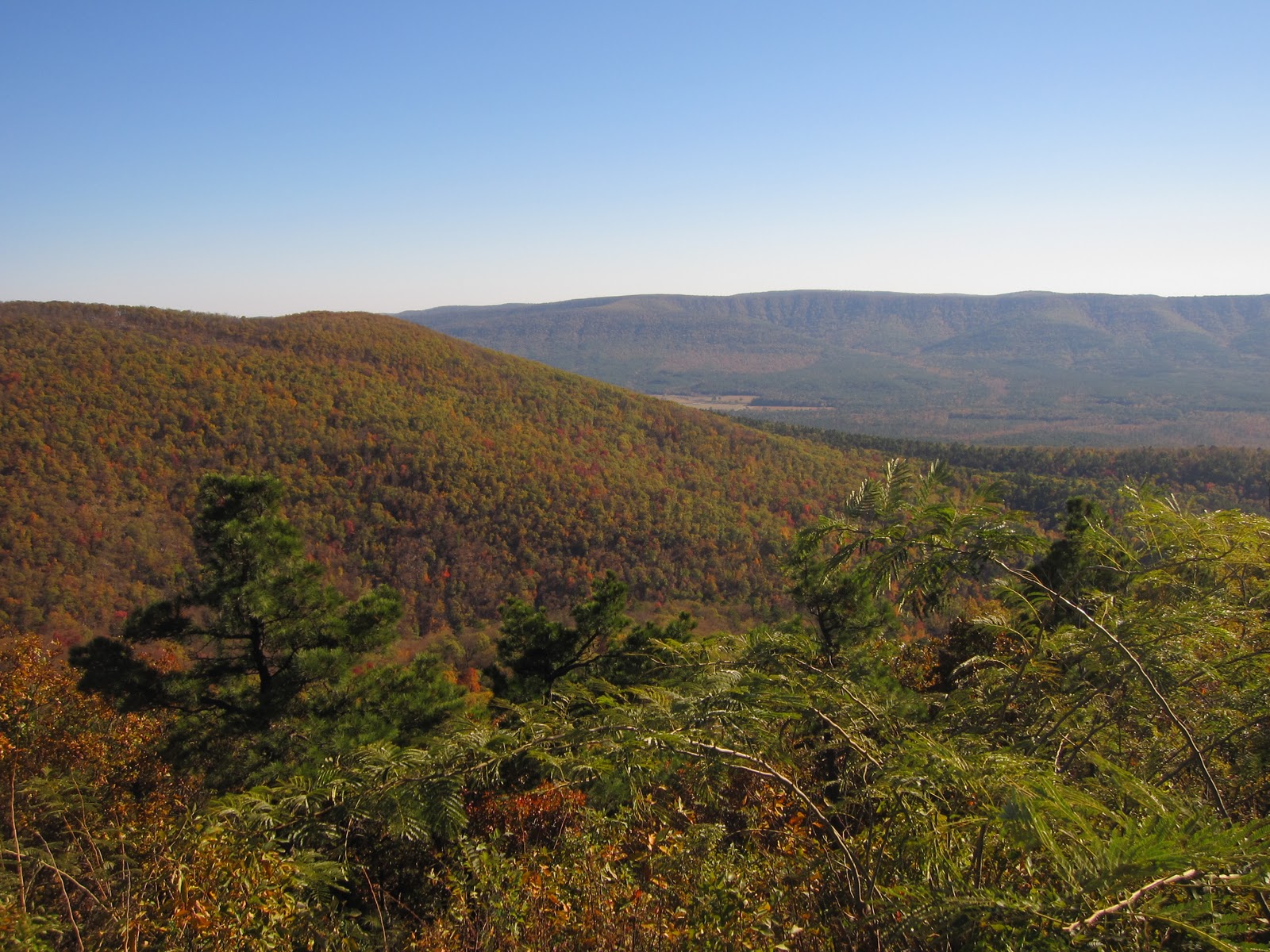 National Forest National Forest Oklahoma