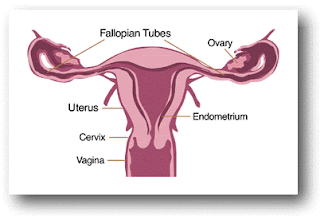 Not Getting Pregnant ?: What Causes Infertility