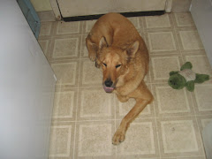 Lokie.... Dont be rude!