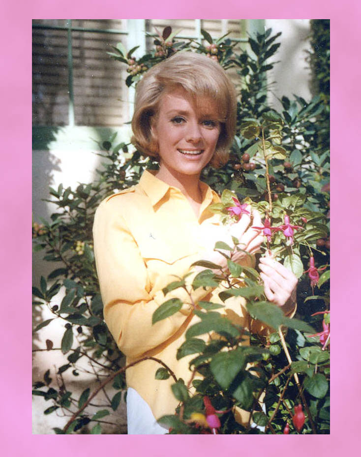 [Inger+Stevens17.jpg]