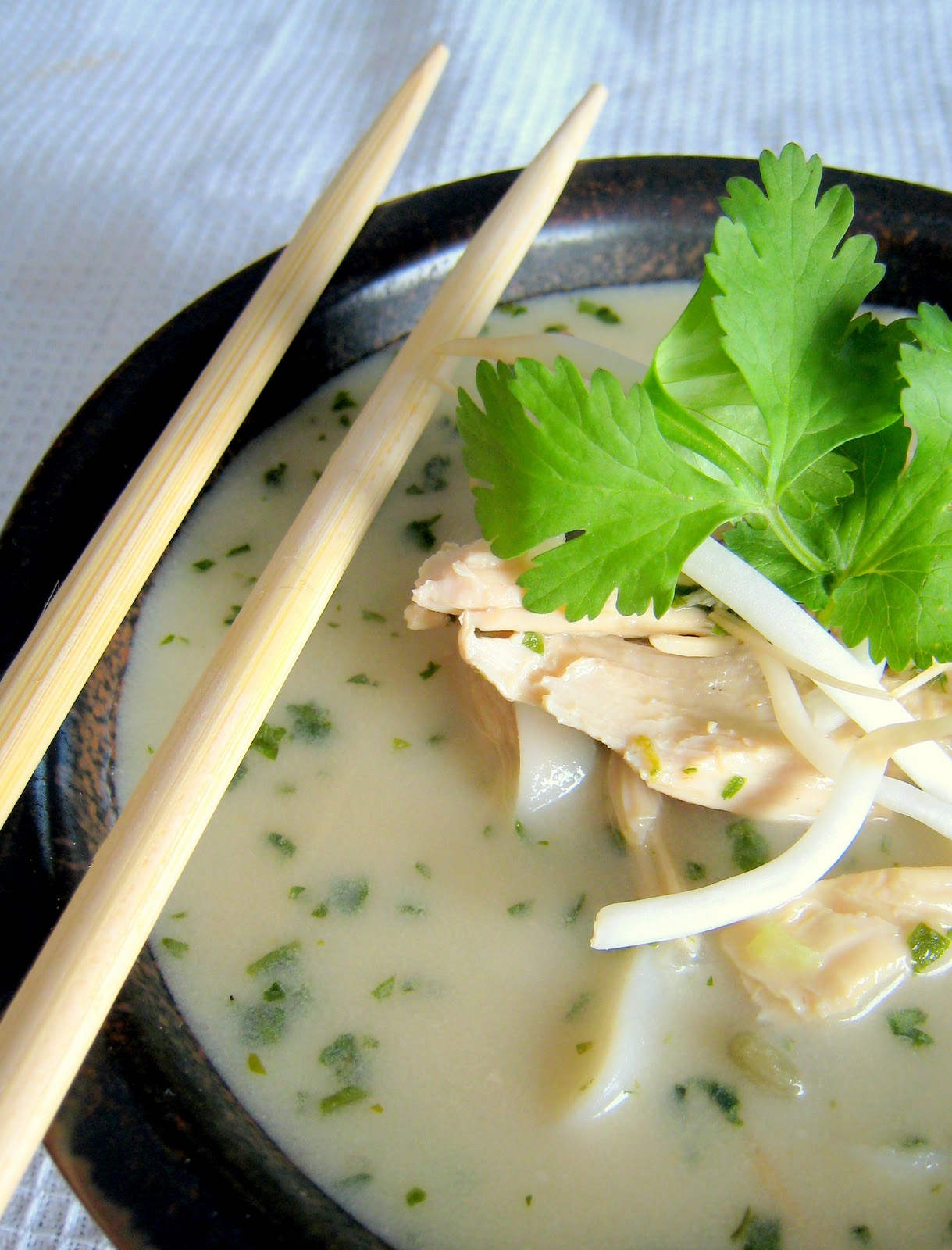 Jumbo Empanadas: Vietnamese Chicken Noodle Soup
