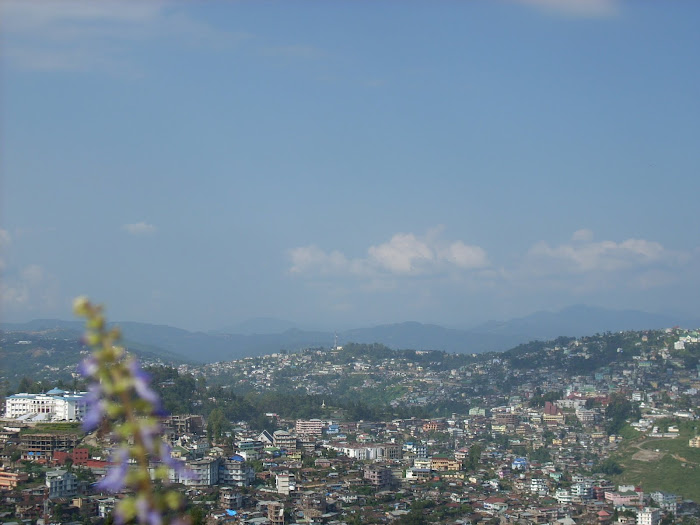 Kohima