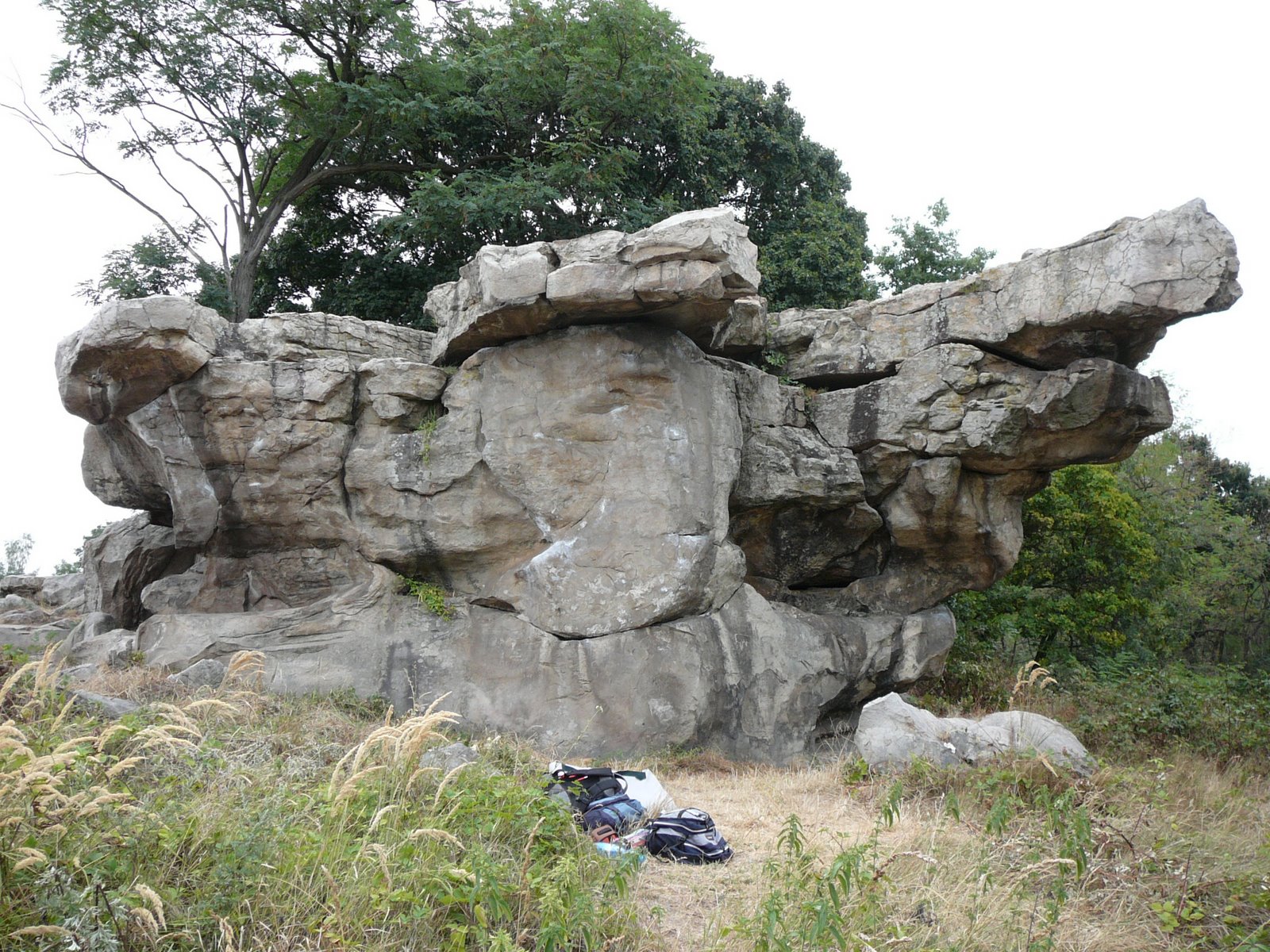 [P1050014.JPG]