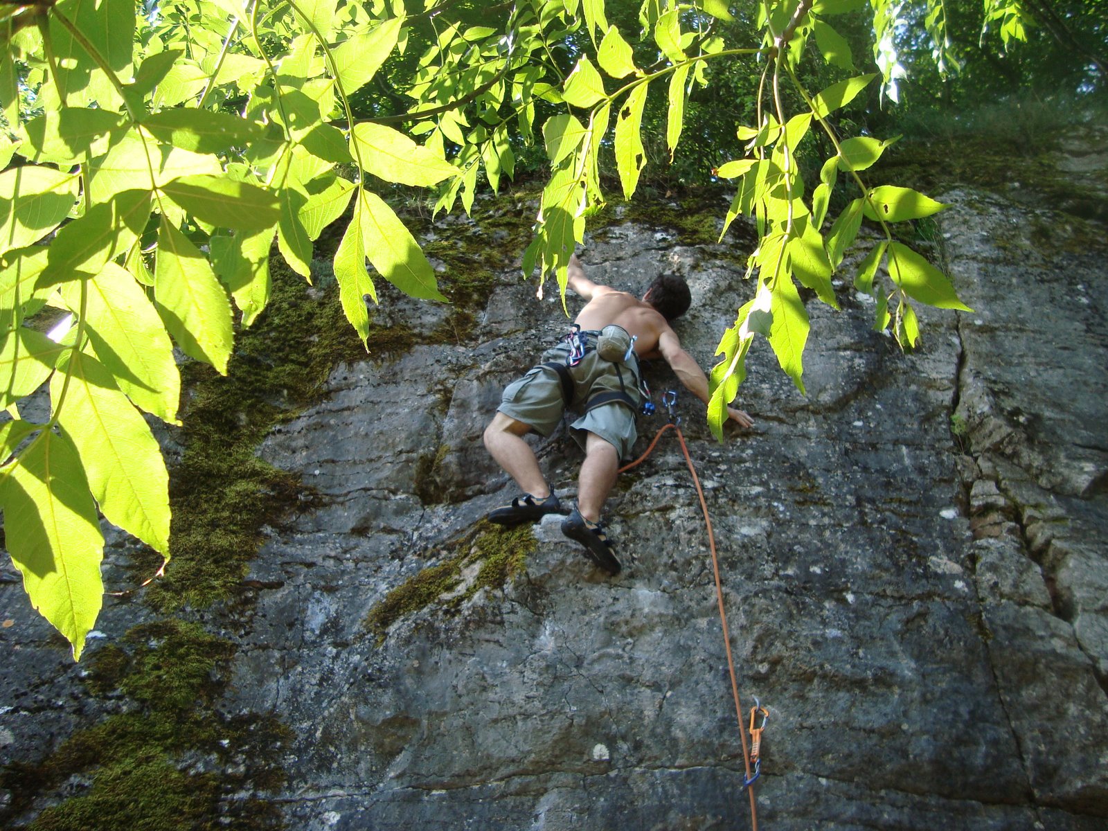 [DSC04622.JPG]