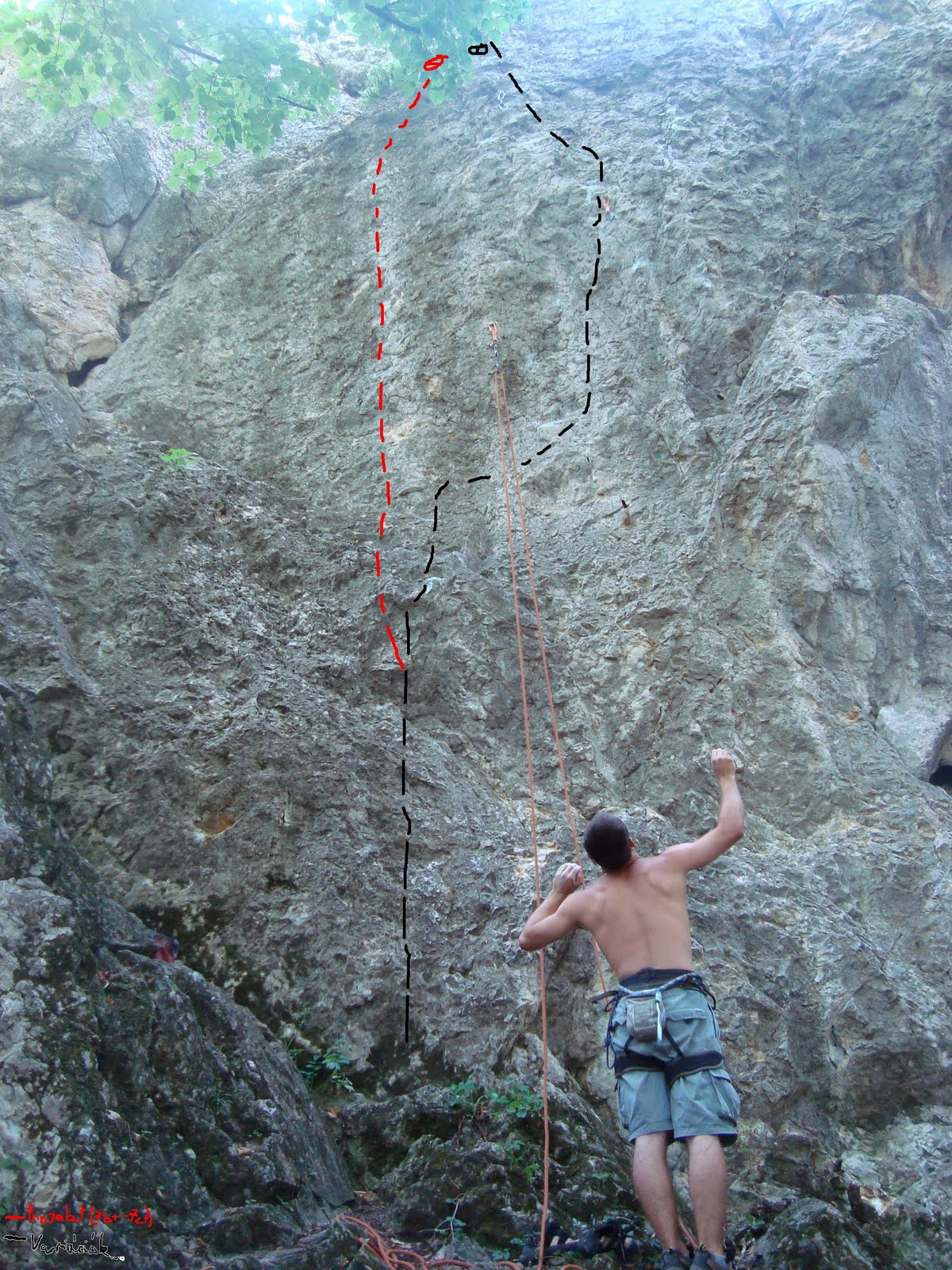 [DSC05454.JPG]