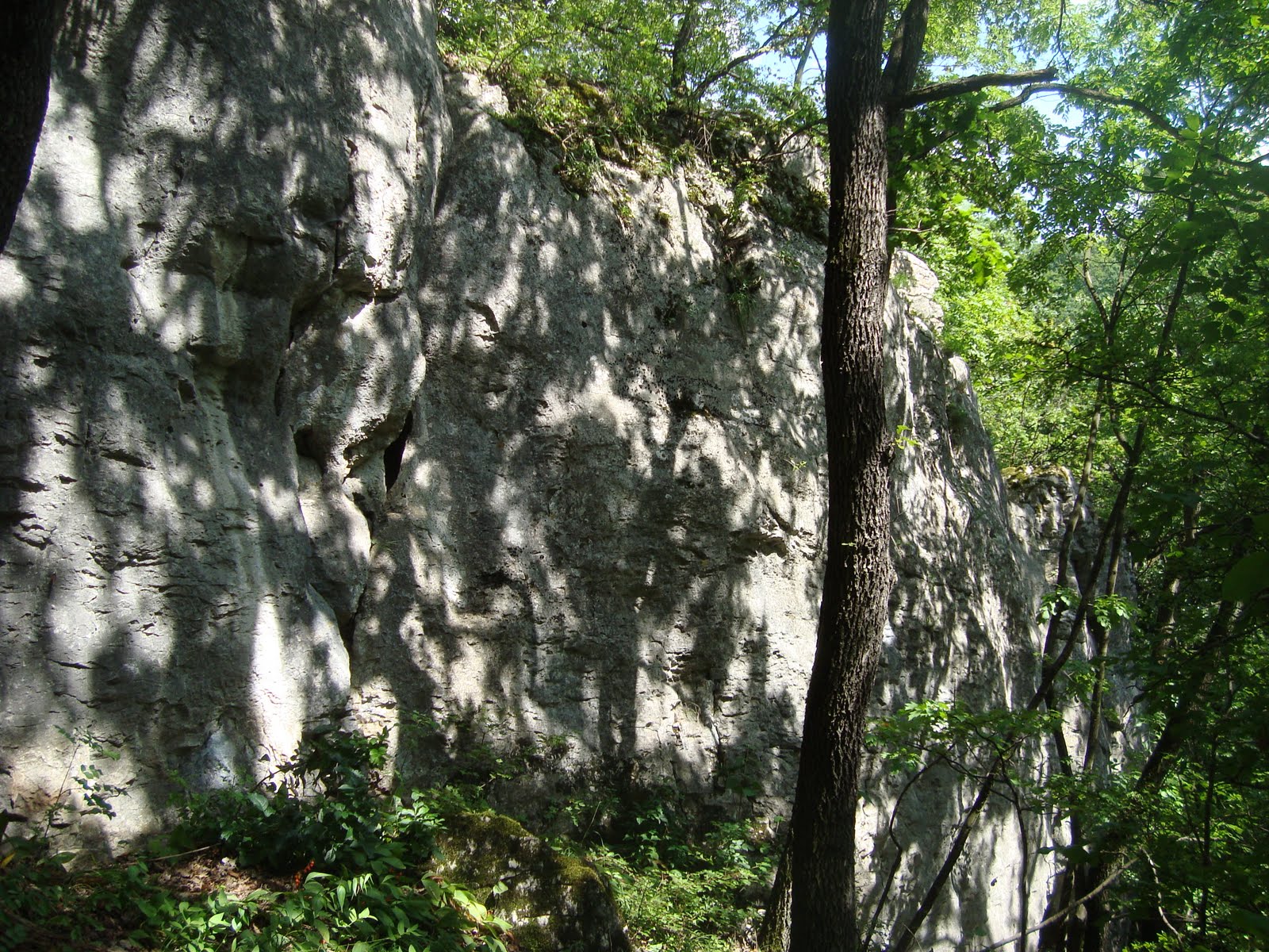 [DSC05514.JPG]