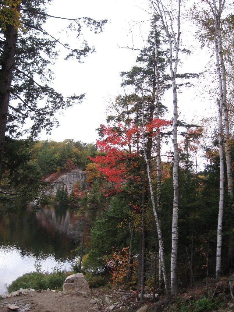 CranberryBlossom Growler Lake Fall's Beauty