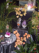 Orchids