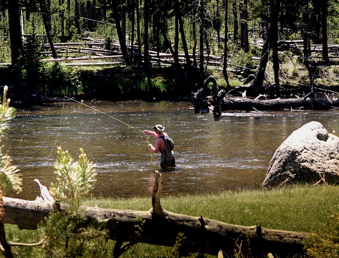 Fly Fishing In Yellowstone National Park The Best Laid Plans