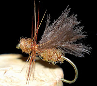 Fly Fishing In Yellowstone National Park: 03/01/2011 - 04/01/2011
