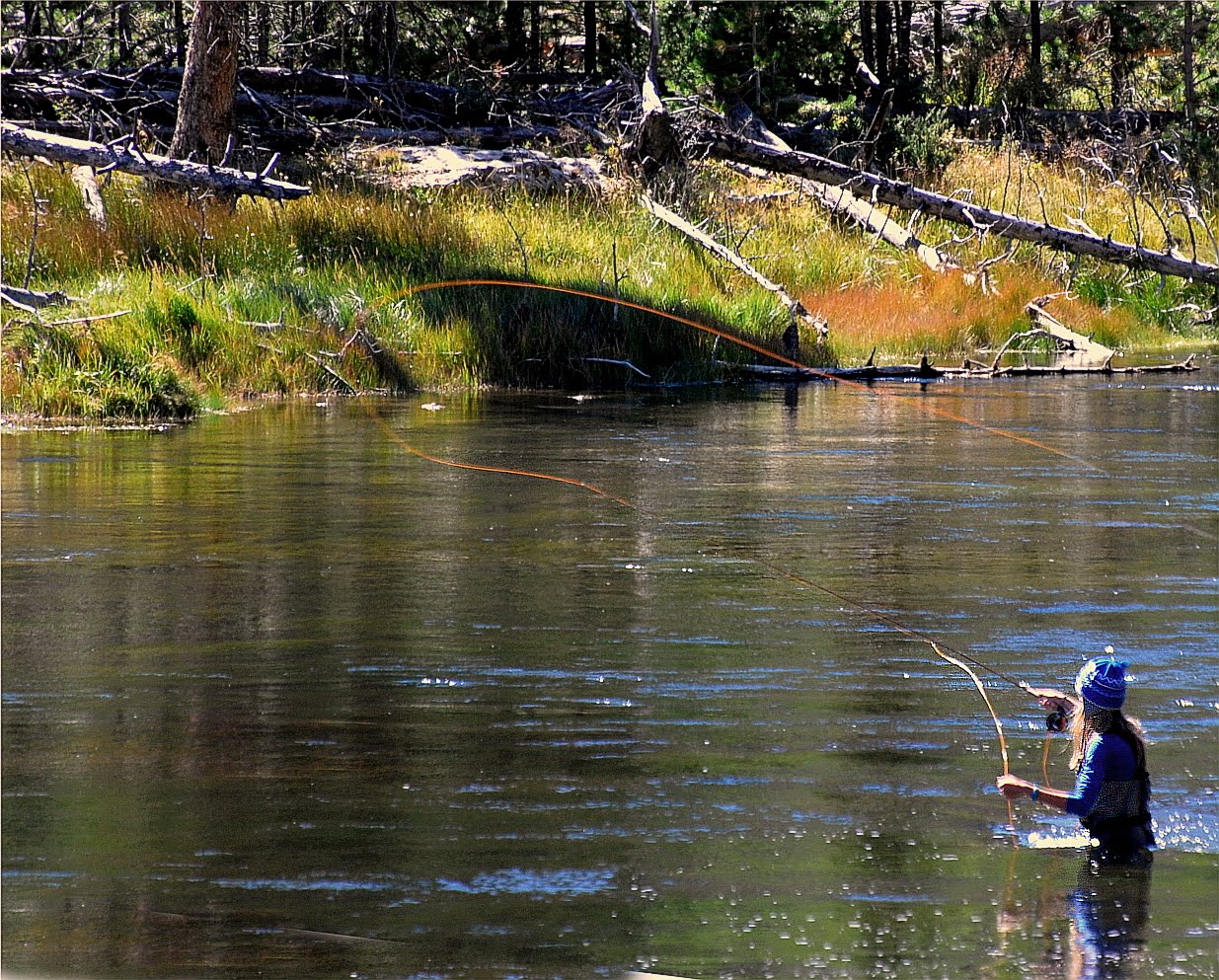 Fly Fishing In Yellowstone National Park: West Side Adventures