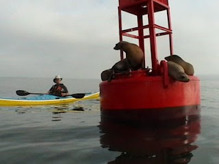100 Boats In 100 Days: Day 34 - Ocean Kayak 'Scupper Pro TW'