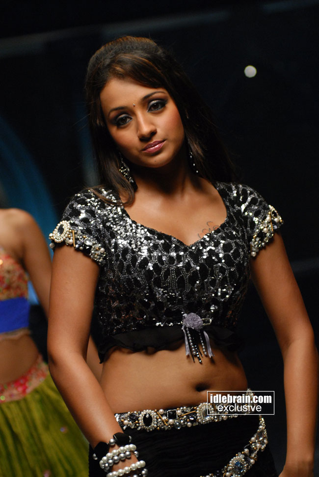 Bollywood Sexy Images Trisha Hot 3