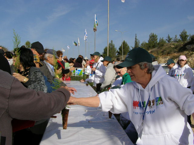 [handing+out+treesP1290060+(51).JPG]