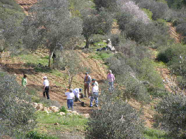 [Feb.+9+P2090001+(22).JPG]