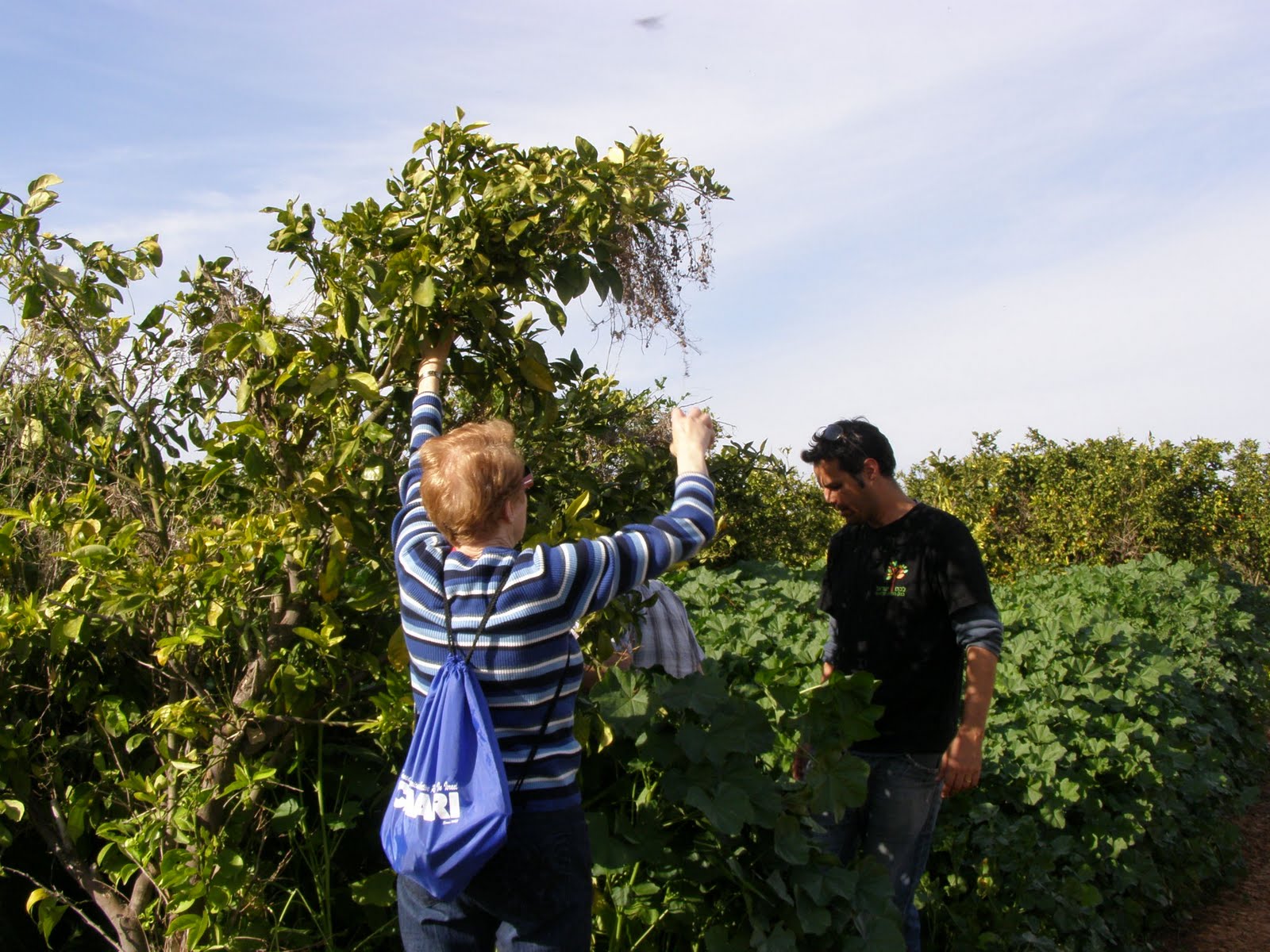 [Leket+P2100001+(17).JPG]