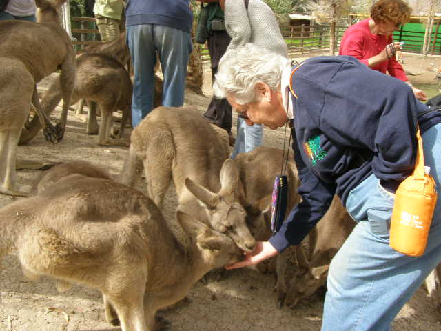 [Gan+GruuP2210033+(48).JPG]