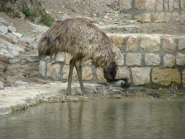 [Blue+Valley+P2250006+(21).JPG]