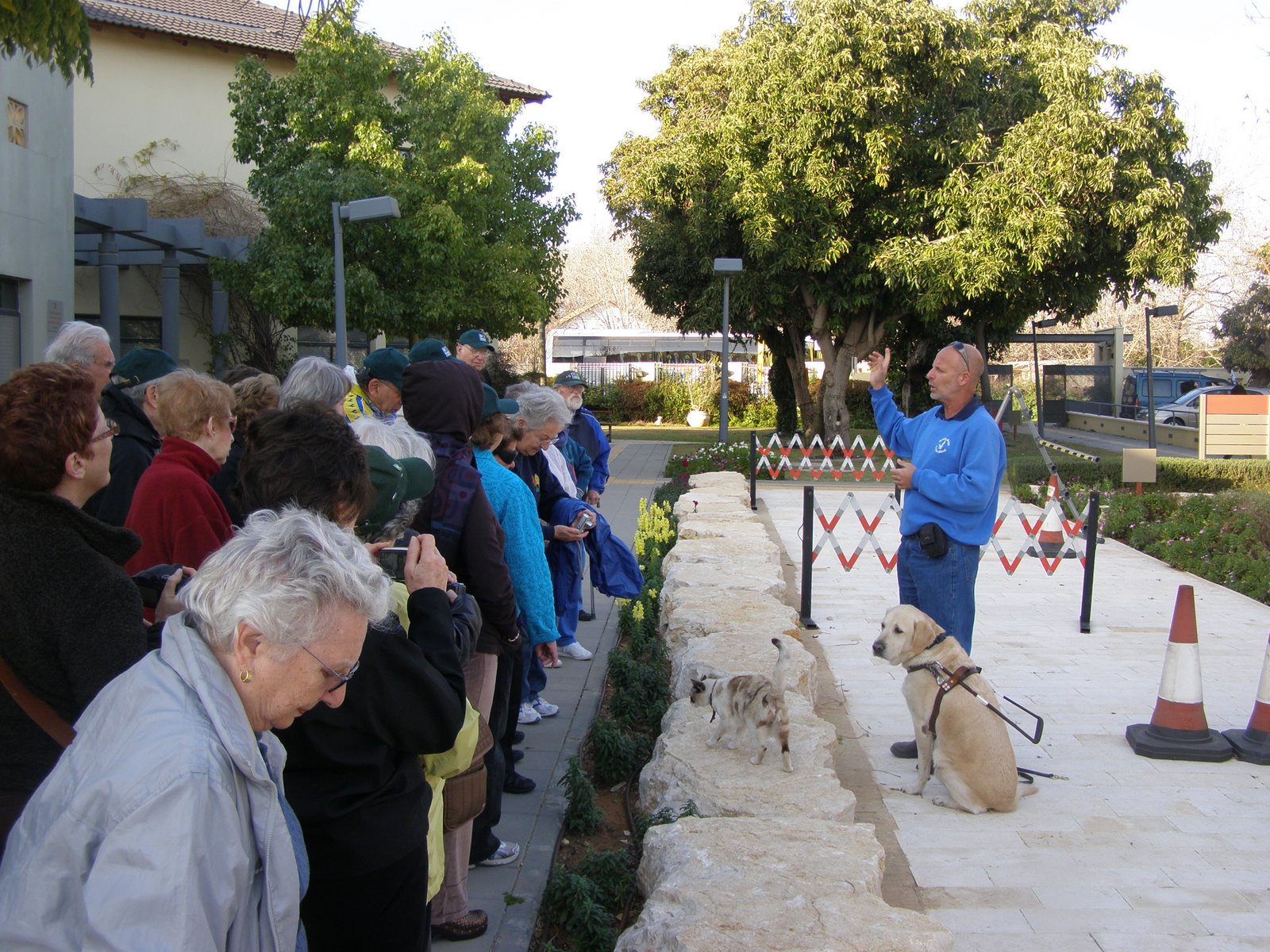 [Uzi+-+guide+dog+031.jpg]