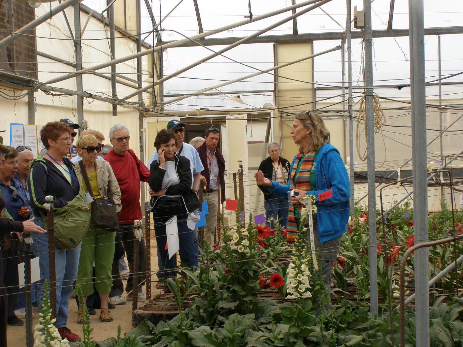 [R&D+Hatzeva037+(8).jpg]