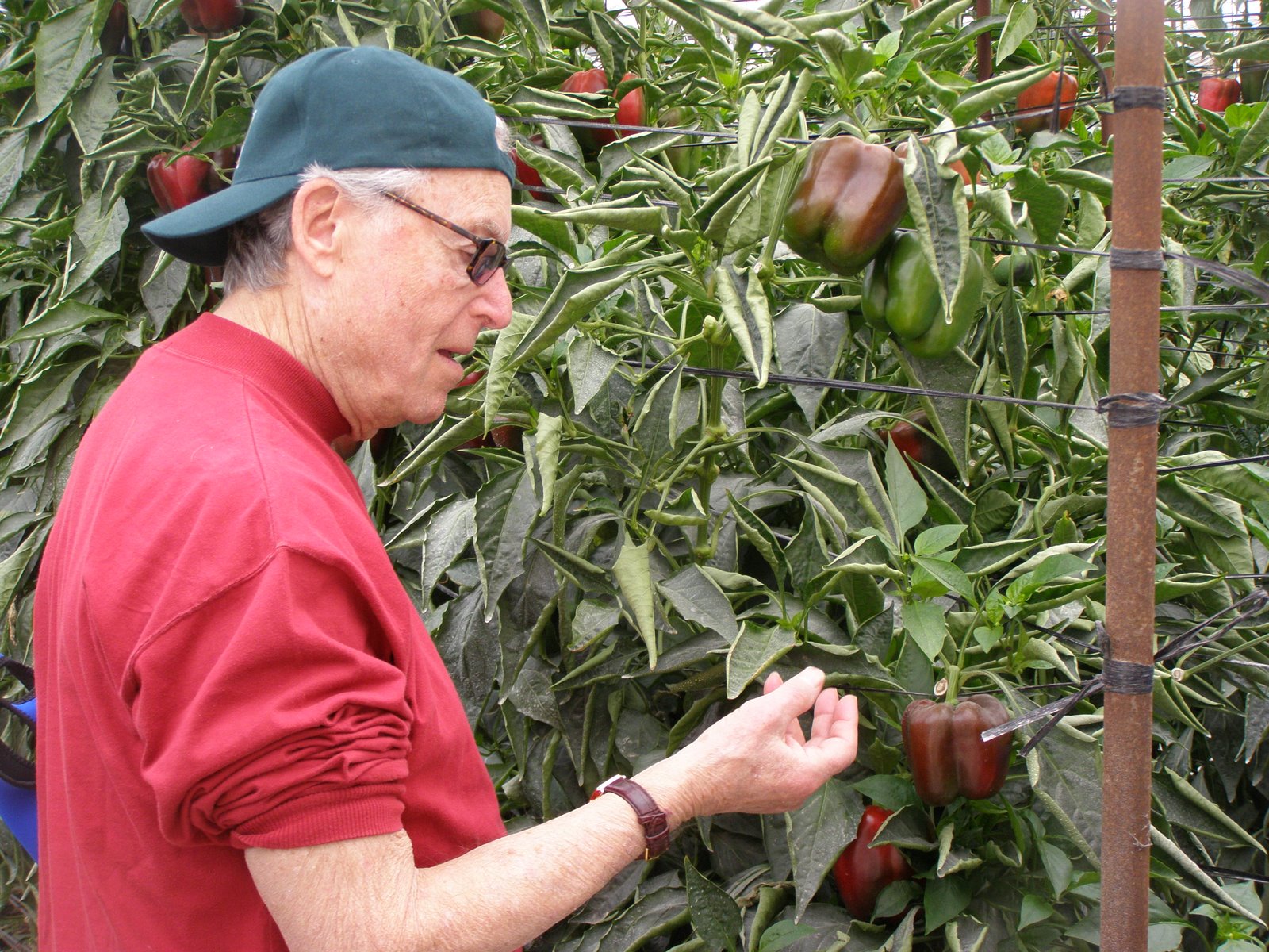 [R&D+Hatzeva037+(18).jpg]