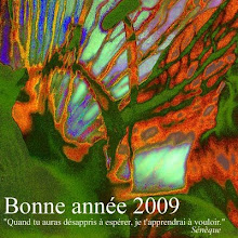 BONNE ANNEE 2009