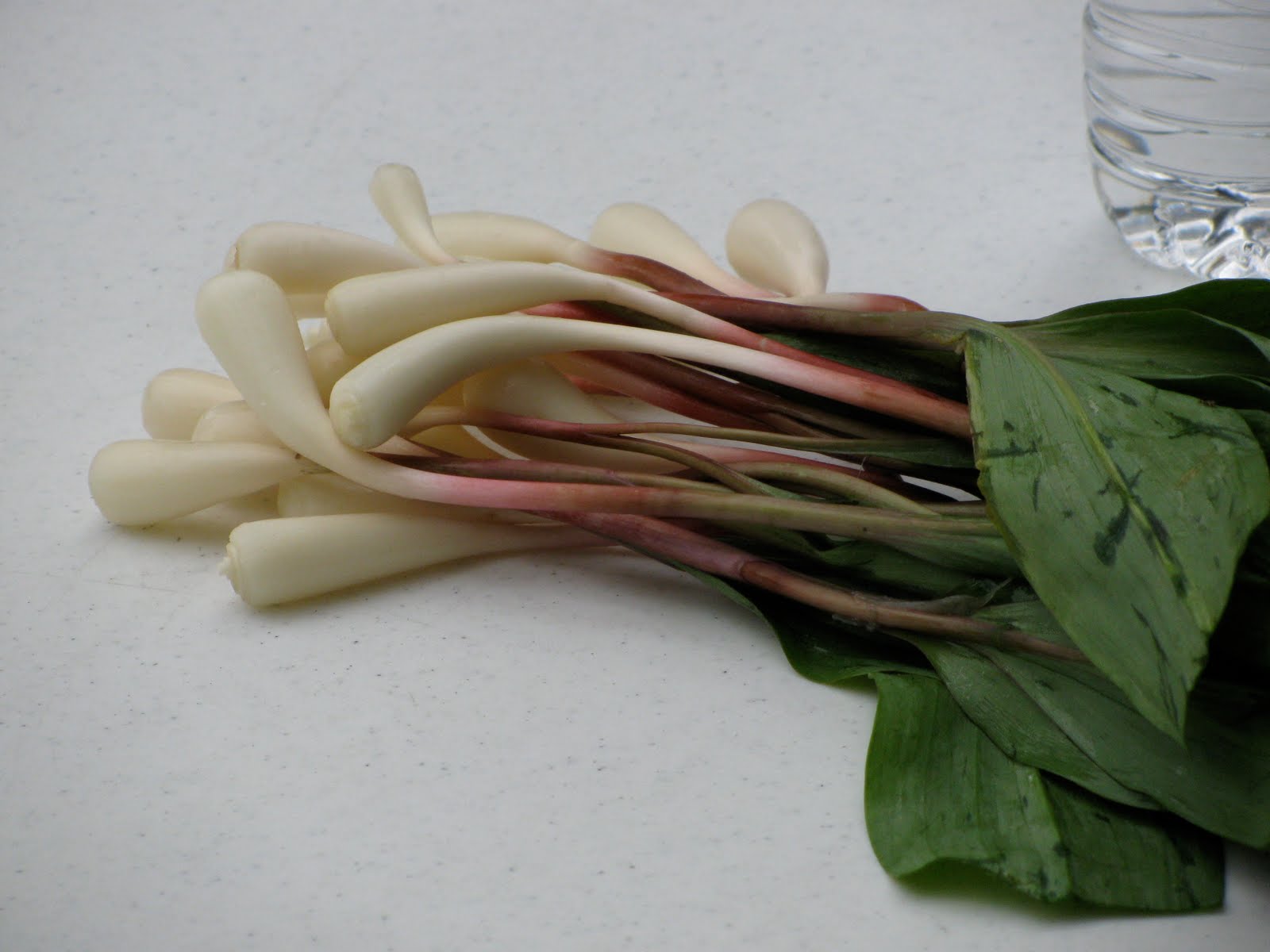 Carolina Foodie RAMPS!