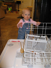 Cassia in the dishwasher