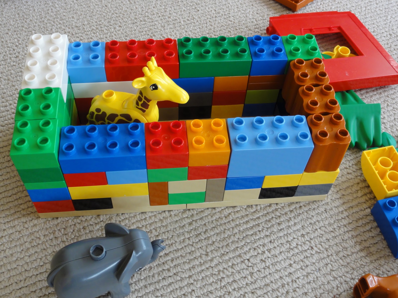 Earthly Joyride: Zoo activities