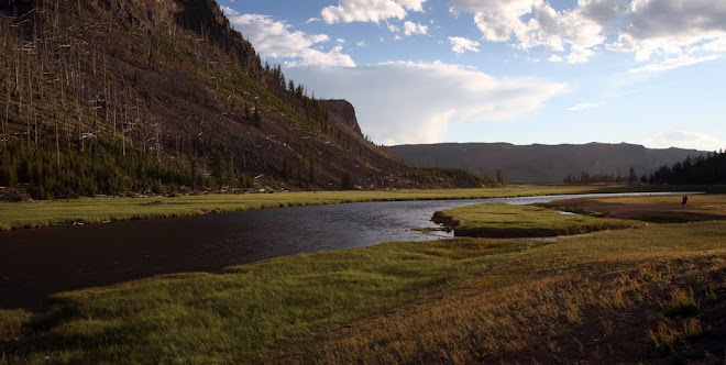 Madison River