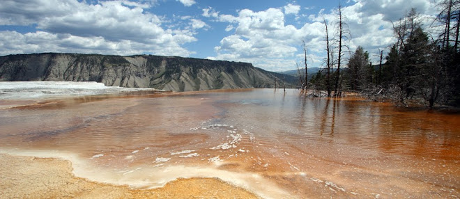 Mammoth Springs sulfur pool