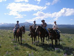 On the Mesa