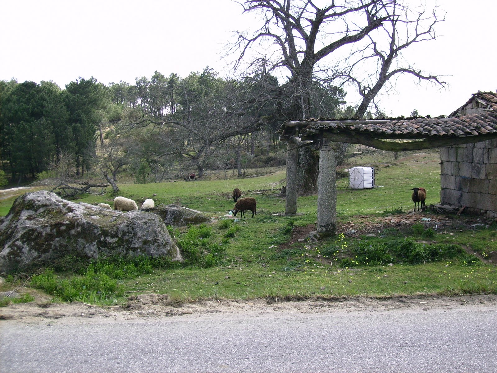 Terras Da Beira O Desenvolvimento Local Em reas Rurais De Baixa Densidade